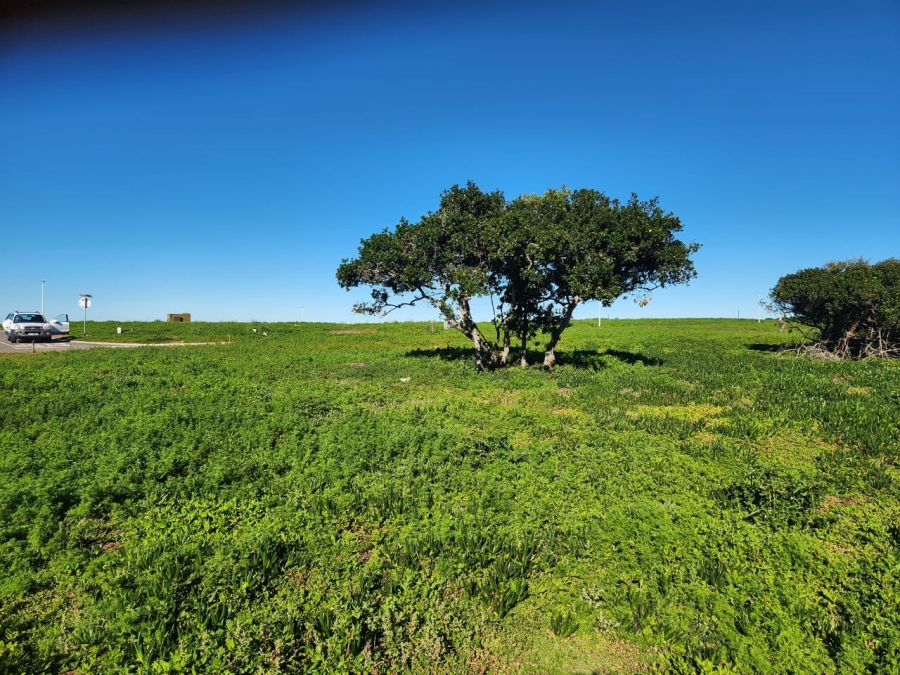 0 Bedroom Property for Sale in Stilbaai Wes Western Cape